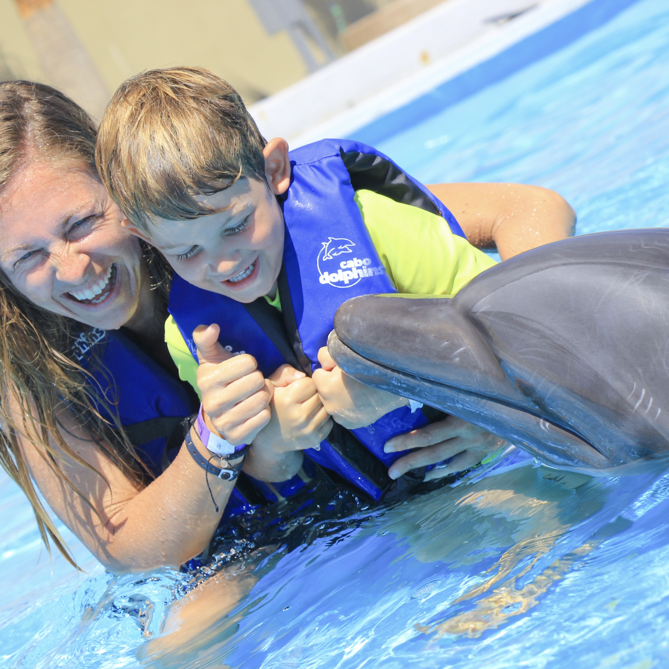 Dolphin Family Encounter