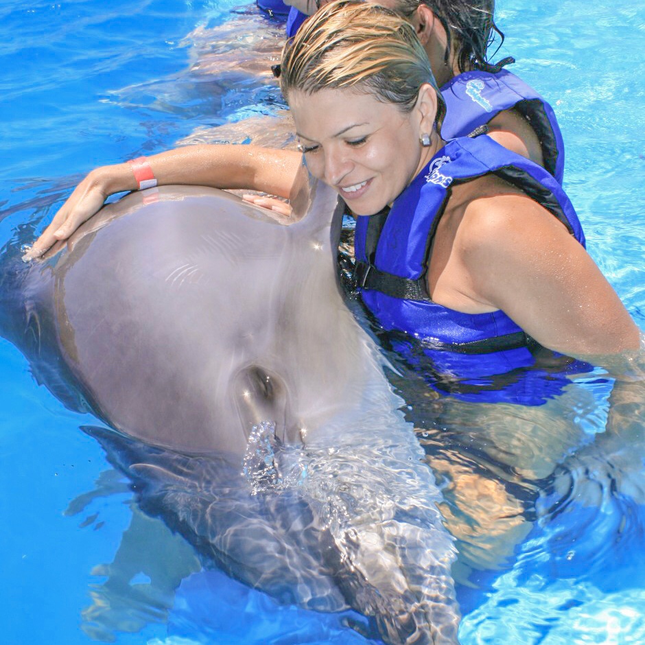 Dolphin Family Encounter