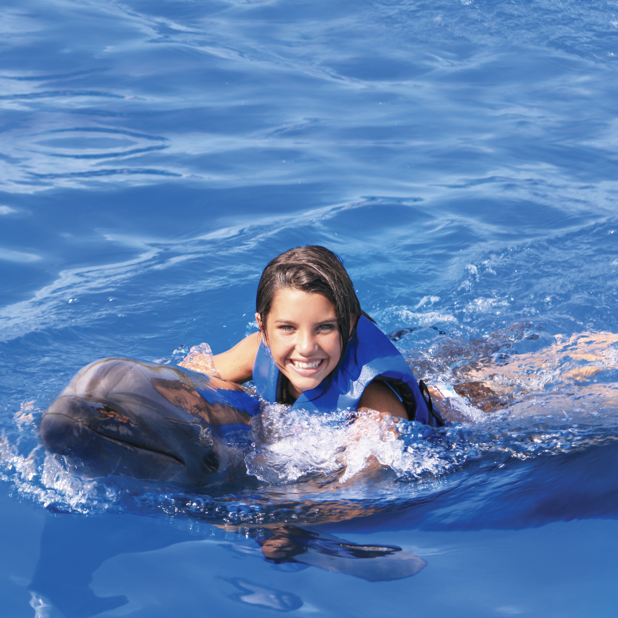 Dolphin Signature Swim