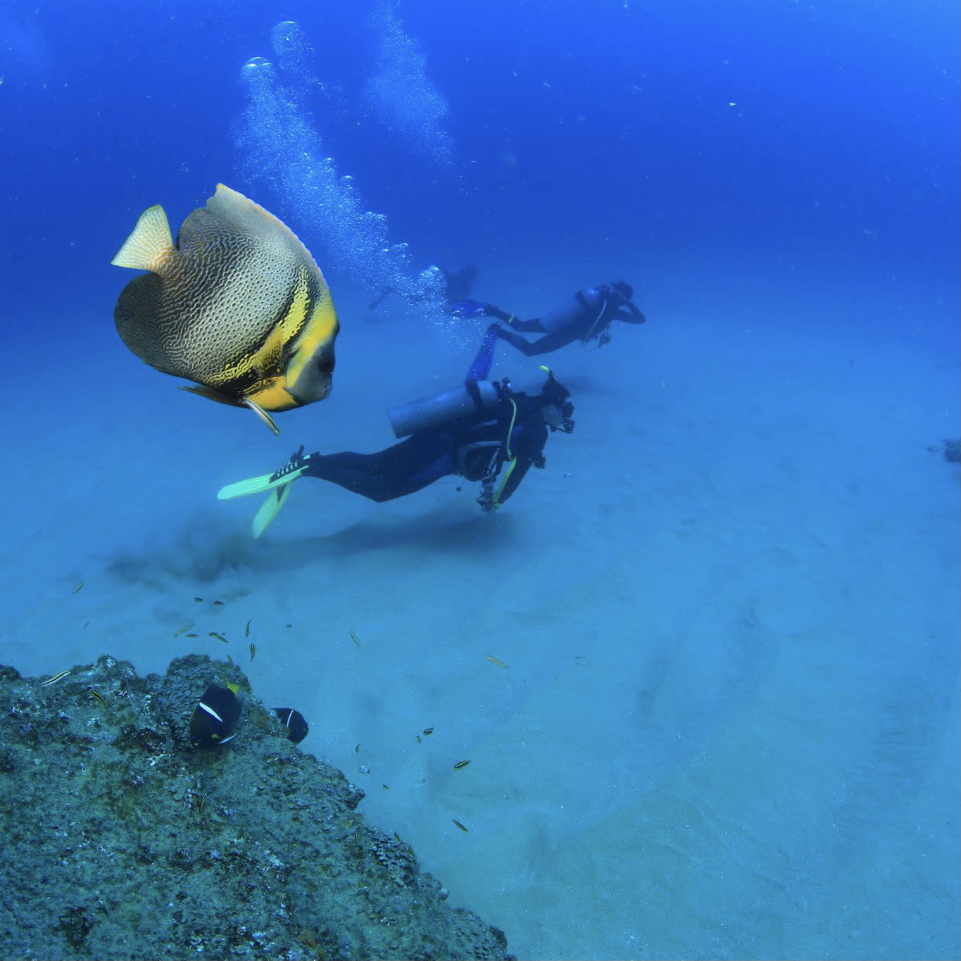 Cabo Pulmo scuba diving