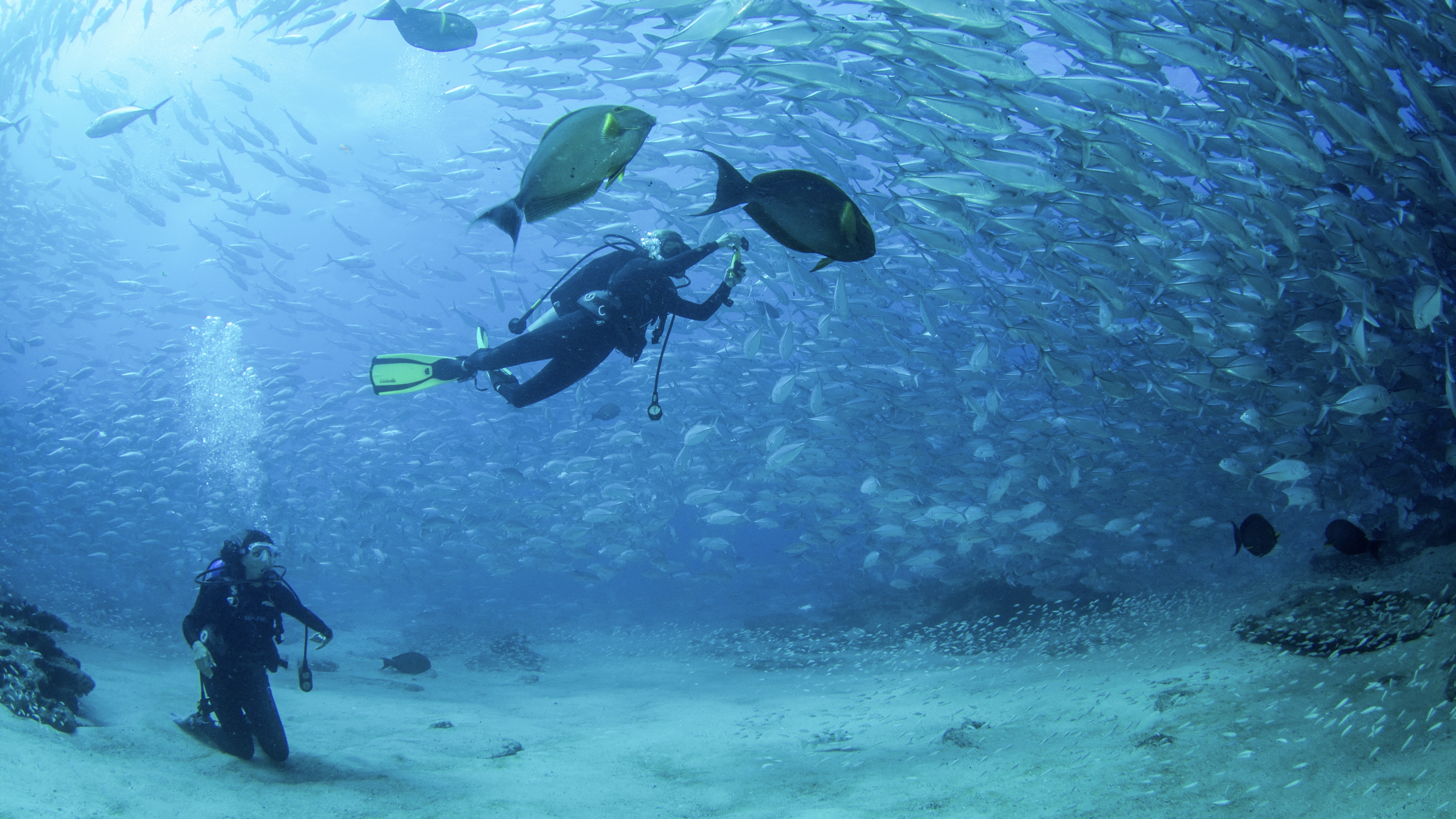 Scuba Diving in Cabo Pulmo