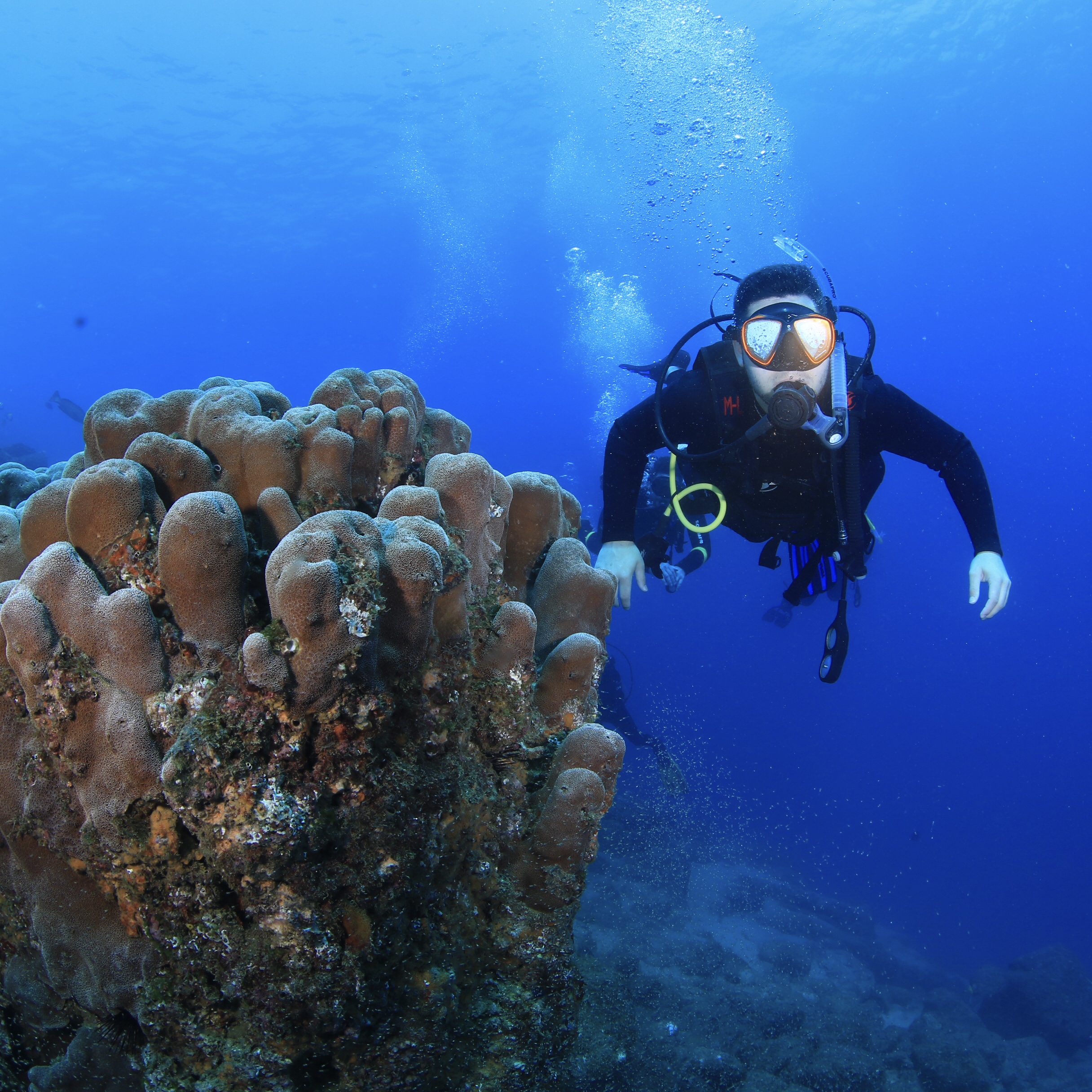 Scuba diving for beginners in Los Cabos