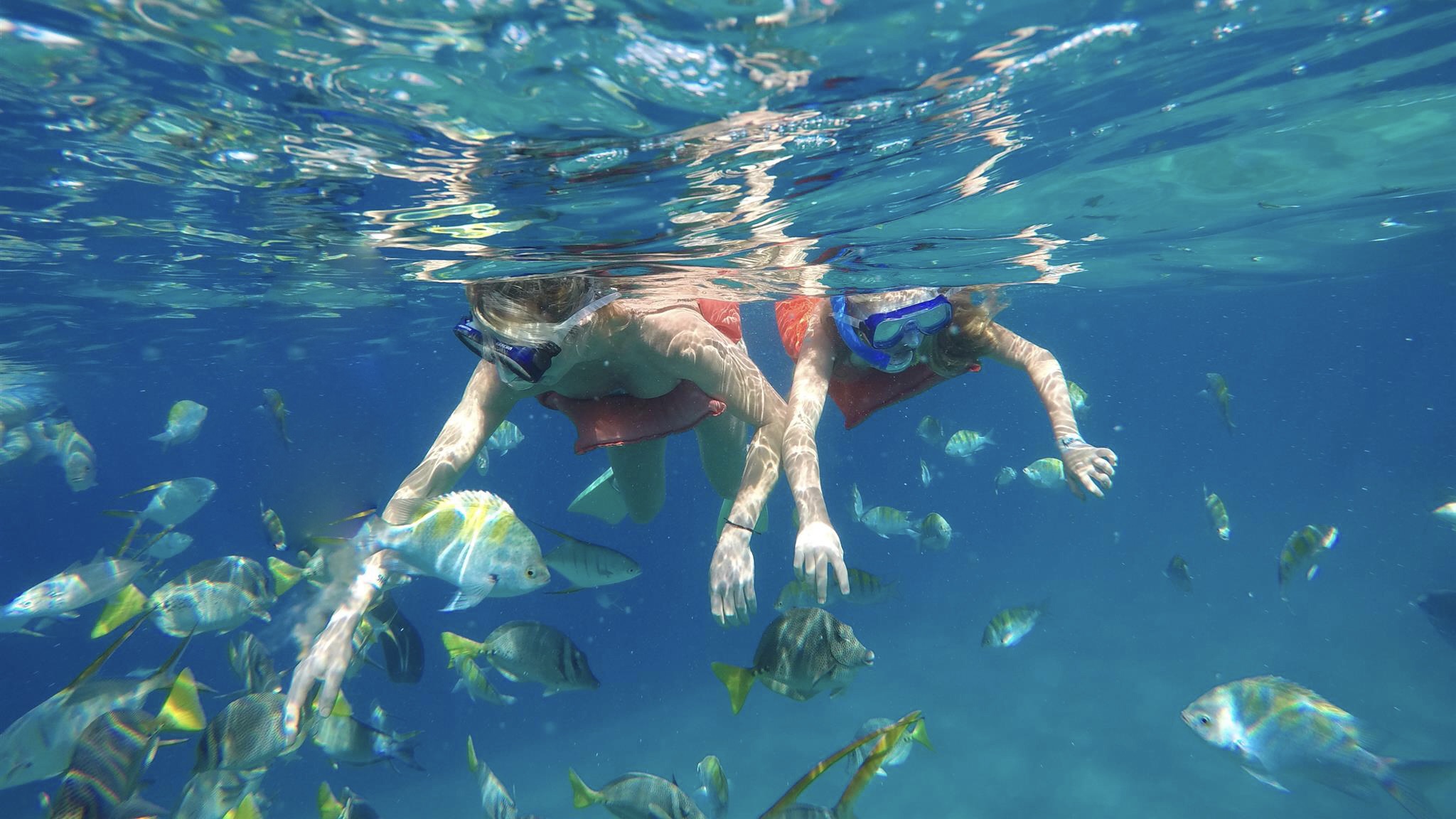 Snorkeling in Los Cabos